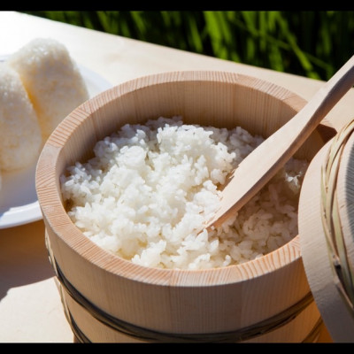 令和8年産【先行受付】2026年9月以降発送【蛇紋岩ブランド　華やか一膳10kg】