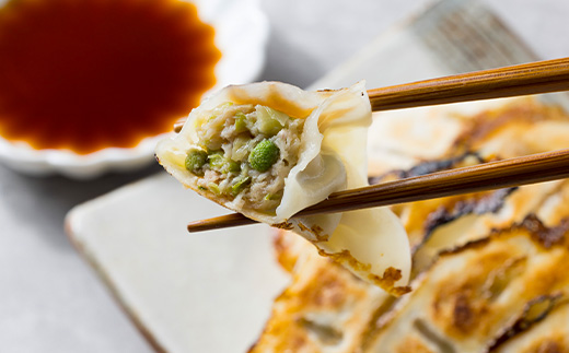 【特産品・八鹿豚×朝倉山椒がコラボ】養父餃子食べ比べセット(冷凍24個)/12個入り1パック×2【配送不可地域：離島】