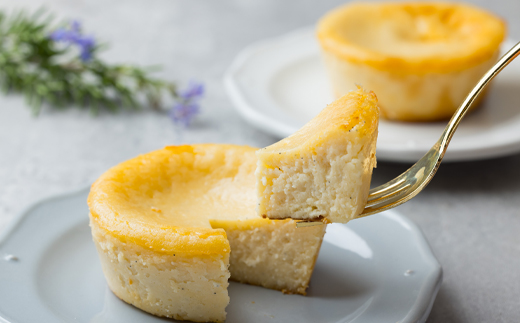 カカオのチーズケーキ【配送不可地域：離島】