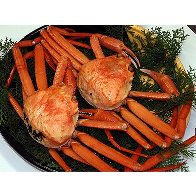 【発送月固定定期便】カニの定期便(竹)＜冷凍発送＞全3回【配送不可地域：離島】