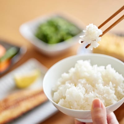 【発送月固定定期便】令和7年産新米 蛇紋岩ブランド 華やか一膳 10kg(5kg×2)全3回