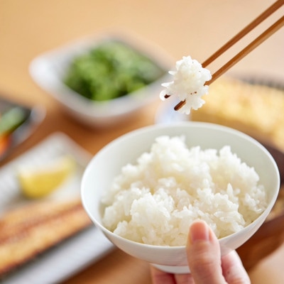 【発送月固定定期便】令和7年産新米 蛇紋岩ブランド 華やか一膳 20kg(5kg×4)全3回