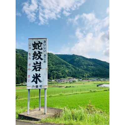 2023年4月発送開始『定期便』【定期便6ヶ月】養父市の稀少米蛇紋岩米5kg五穀米セット全6回