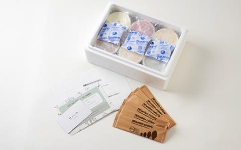 季節のジェラート6種各1個セット【配送不可地域：離島】