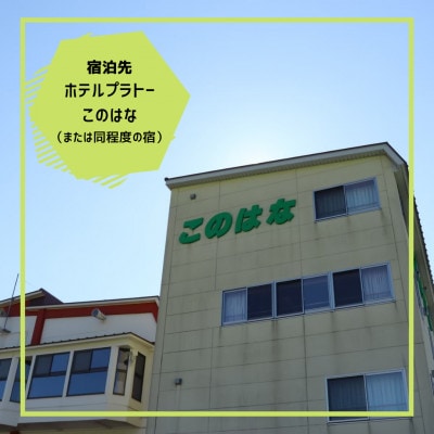 【ハチ高原】子ども向けキャンプ参加チケット9000円分