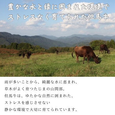 但馬牛　焼肉用(霜降り部位) 1kg【配送不可地域：離島】