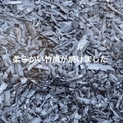 園芸用に ポーラス竹炭10リットル やわらかな多孔質の炭 竹炭の力