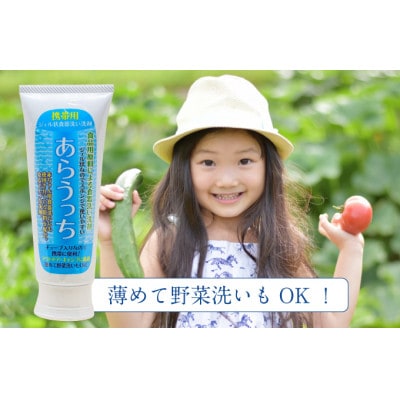 食器洗い洗剤 携帯用 旅行にもおすすめ 赤ちゃん用品にも あらうっち ジェル状 120g 3個入