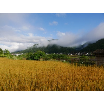 挽きたて小麦のパンケーキ・ガレットミックス