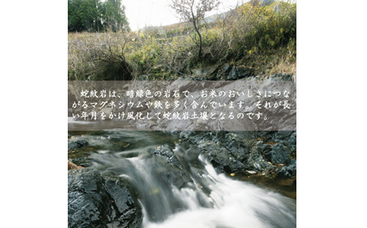 7年産新米予約 特別栽培米 兵庫県但馬産コシヒカリ 蛇紋岩米 10kg(5kg×2袋)