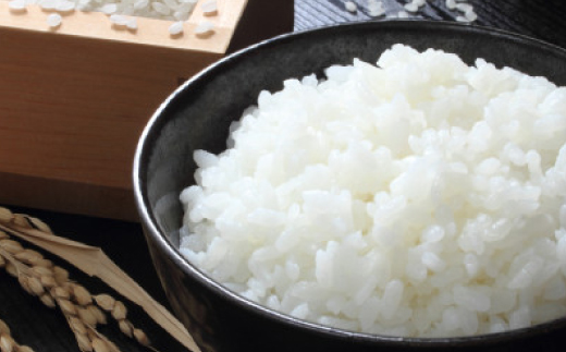 【毎月定期便】蛇紋岩ブランド 別格米 10kg(5kg×2)全12回