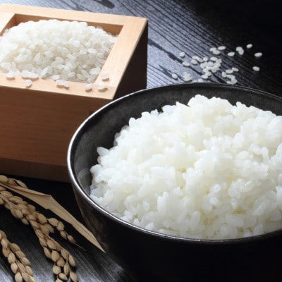 【発送月固定定期便】令和7年産新米 兵庫県 蛇紋岩ブランド 別格米 10kg(5kg×2)全3回