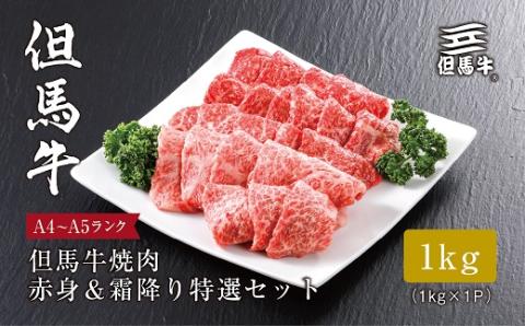 【但馬牛】 焼肉 赤身＆霜降り 特選セット1kg【配送不可地域：離島】