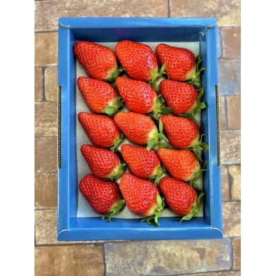 「内山いちごの国」の特別ないちごを15粒箱詰め【配送不可地域：離島】