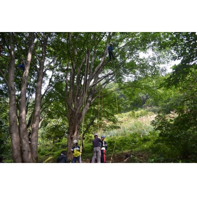 「ご家族で自然と遊ぼう」ご宿泊券(4名或いは3名様ご家族)