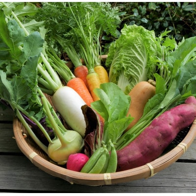 但馬の旬をお届け!採れたて野菜セット(7~8種類)【配送不可地域：離島】