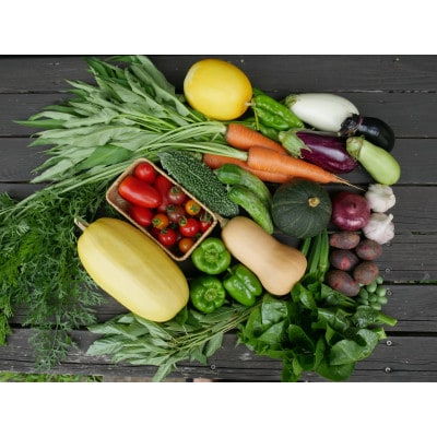 但馬の旬をお届け!採れたて野菜セット(8~9種類)【配送不可地域：離島】