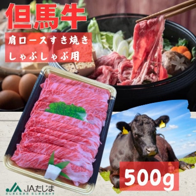 但馬牛　肩ローススライス(500g)【配送不可地域：離島】