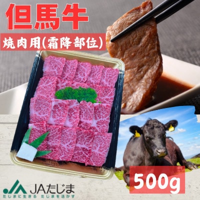 但馬牛　焼肉用(霜降り部位)500g【配送不可地域：離島】