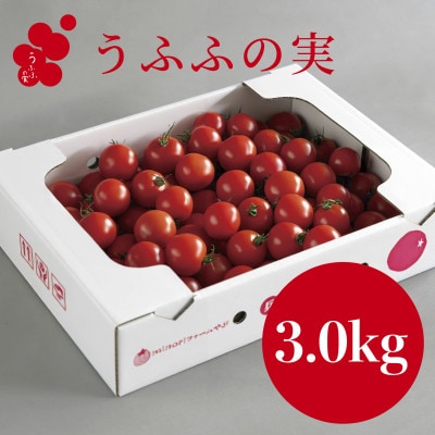 【産地直送】トマト(約3.0kg) 箱 うふふの実 高糖度フルーツトマト　アイメック【常温】【配送不可地域：離島・北海道・沖縄県】