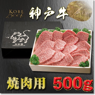 神戸牛 焼き肉用 かた・もも 500g YBY2 【2026年4月より順次発送】【配送不可地域：離島】