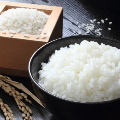 お試し!令和8年産＜先行受付＞9月より順次発送【蛇紋岩ブランド　華やか一膳】計600g(2合×2袋)