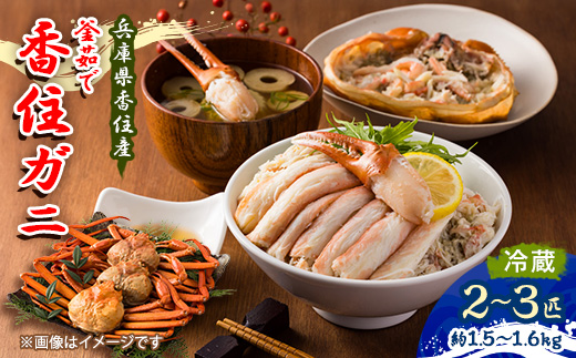 兵庫県香住産　釜茹で香住ガニ(紅ズワイガニ)2～3匹入り(約1.5～1.6kg)【9月上旬以降発送】【配送不可地域：離島・北海道・沖縄県・東北・九州】