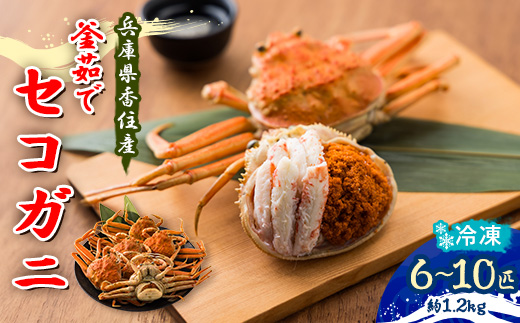 兵庫県香住産　釜茹でセコガニ6～10匹入り(約1.2kg)【11月中旬以降発送】【配送不可地域：離島・北海道・沖縄県・東北・関東・九州】