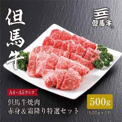 【但馬牛】焼肉 赤身＆霜降り 特選セット500g【配送不可地域：離島】