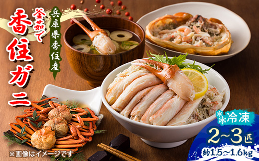 兵庫県香住産 釜茹で香住ガニ(紅ズワイガニ)2～3匹入り(約1.5～1.6kg)〈冷凍〉【9月発送】【配送不可地域：離島】