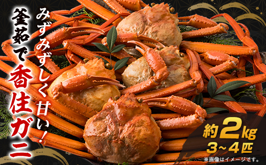 兵庫県香住産 釜茹で香住ガニ(紅ズワイガニ)3～4匹入(約2kg)【9月中旬以降発送】【配送不可地域：離島・北海道・沖縄県・東北・九州】