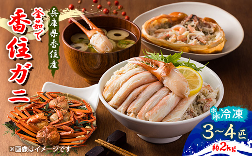 兵庫県香住産 釜茹で香住ガニ(紅ズワイガニ)3～4匹入(約2kg)〈冷凍発送〉【9月中旬以降発送】【配送不可地域：離島】