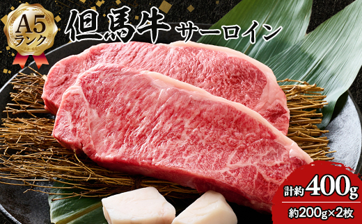 但馬牛 A5 サーロイン 2枚【配送不可地域：離島】