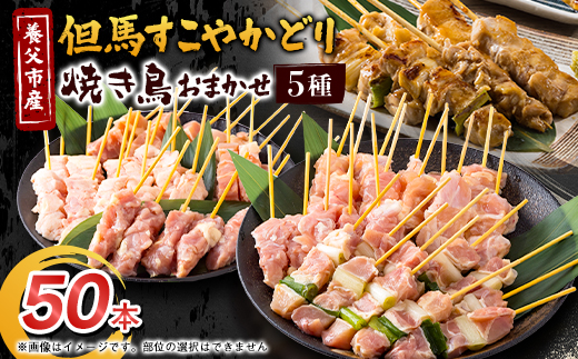 焼き鳥セット おまかせ5種盛り合わせ(もも・ももねぎ・生皮・ハラミなど)50本【配送不可地域：離島】