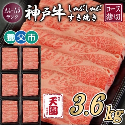 【毎月定期便】【ふるさと納税】神戸牛 霜降り 肩ロース しゃぶしゃぶすき焼き600g×全6回【配送不可地域：離島】