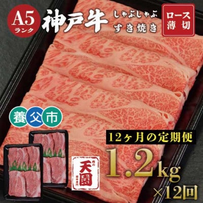 【毎月定期便】【ふるさと納税】神戸牛 霜降り 肩ロース しゃぶしゃぶすき焼き1200g×全12回【配送不可地域：離島】