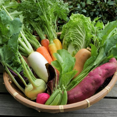 【発送月固定定期便】【月一定期便 6～12月】但馬の旬をお届け!採れたて野菜セット計7回全7回【配送不可地域：離島】