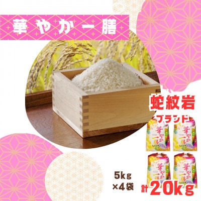 【発送月固定定期便】令和7年産新米 蛇紋岩ブランド 華やか一膳 20kg(5kg×4)全3回