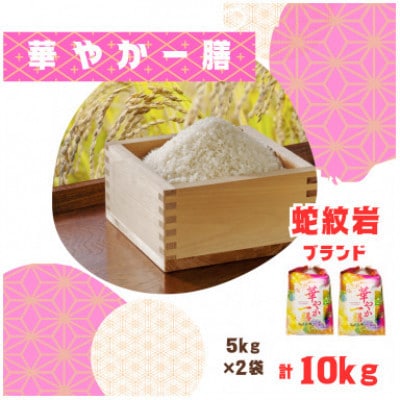 【毎月定期便】蛇紋岩ブランド 華やか一膳 10kg(5kg×2)全6回