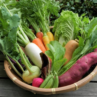 【発送月固定定期便】【6～12月】但馬の旬をお届け!採れたて野菜セット全7回【配送不可地域：離島】