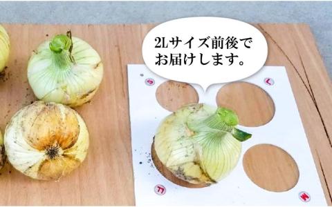 新玉ねぎ　淡路島　南あわじ市　5ｋｇ　早生　◆配送4月下旬～5月下旬