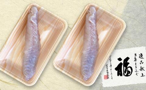 【冷凍】淡路島3年とらふぐ（活上身/片身）2Pセット