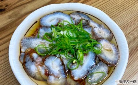 【花光】【あわじ島冬の珍味！身の柔らかい赤ナマコを活きたまま発送】淡路島産 赤なまこ（活）約1.5ｋｇ