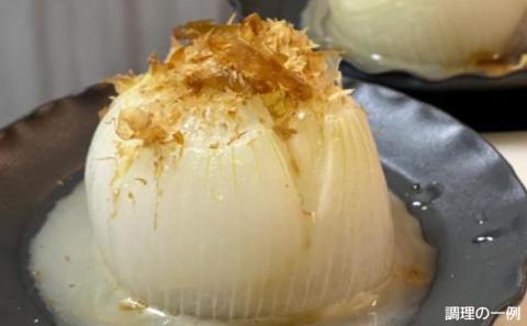 農家直送！【奈良農園】淡路島新玉ねぎ ≪10kgサイズ色々≫