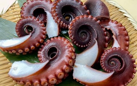 【花光】タコ好きさん必見！淡路の島ダコ釜揚げ（切り落とし4～5人前）【旨さそのまま♪期間限定フレッシュ冷蔵便】