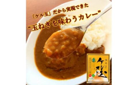 淡路島のケル玉カレーとフライドオニオンセット