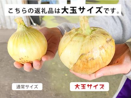 【大玉５㎏】兵庫県認証★特別栽培★淡路島新たまねぎ