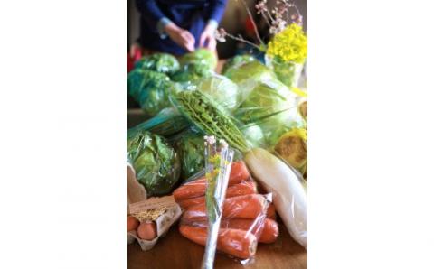 【定期便】「島のめぐみ」セット～南あわじ旬の食材～【1年コース】