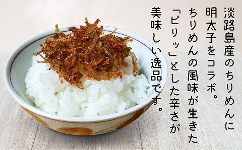 【山田海産物】明太子ちりめん 60ｇ×10パック