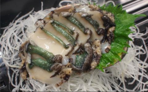 【花光】淡路島産天然活きアワビ